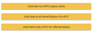 ekyc options sassa